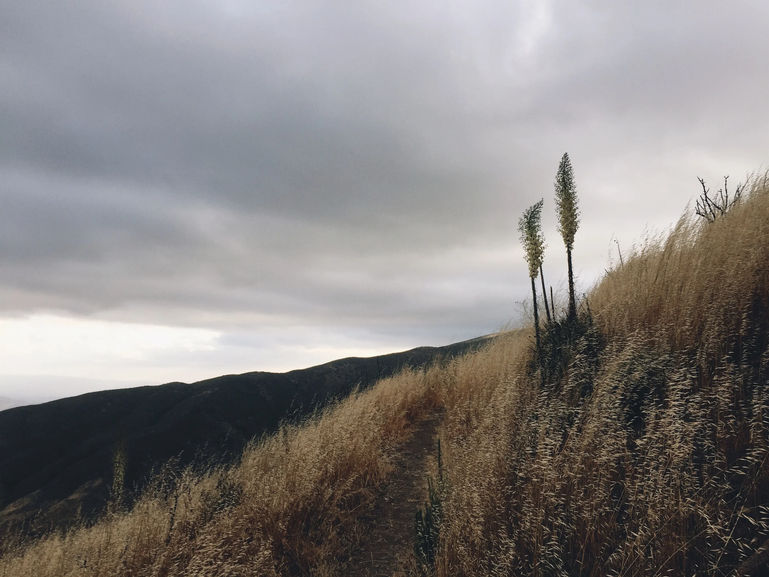 Overcast skies. What a luxury.
