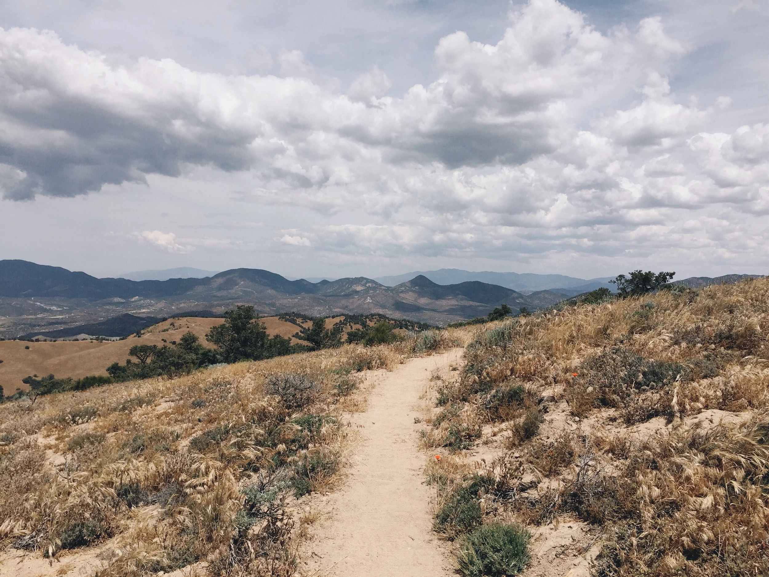 Through the dry Mohave.