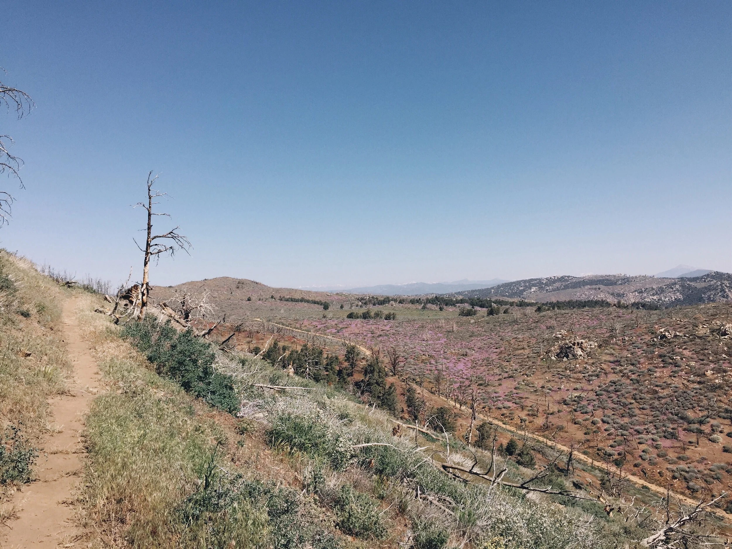 I rounded the corner to see the sierras in the far distance.
