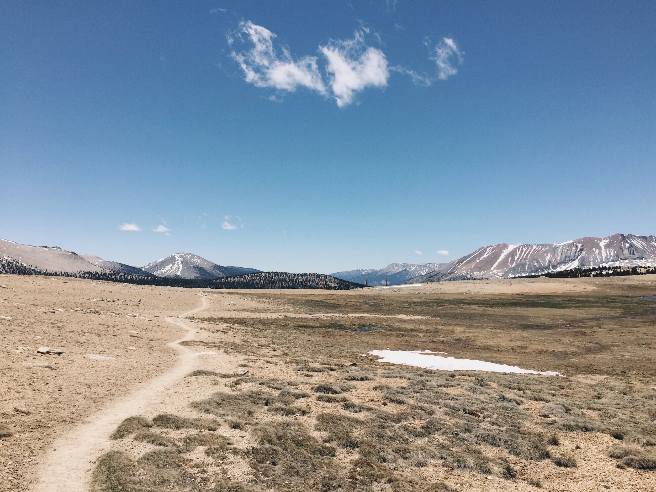 Buckhorn plateau.
