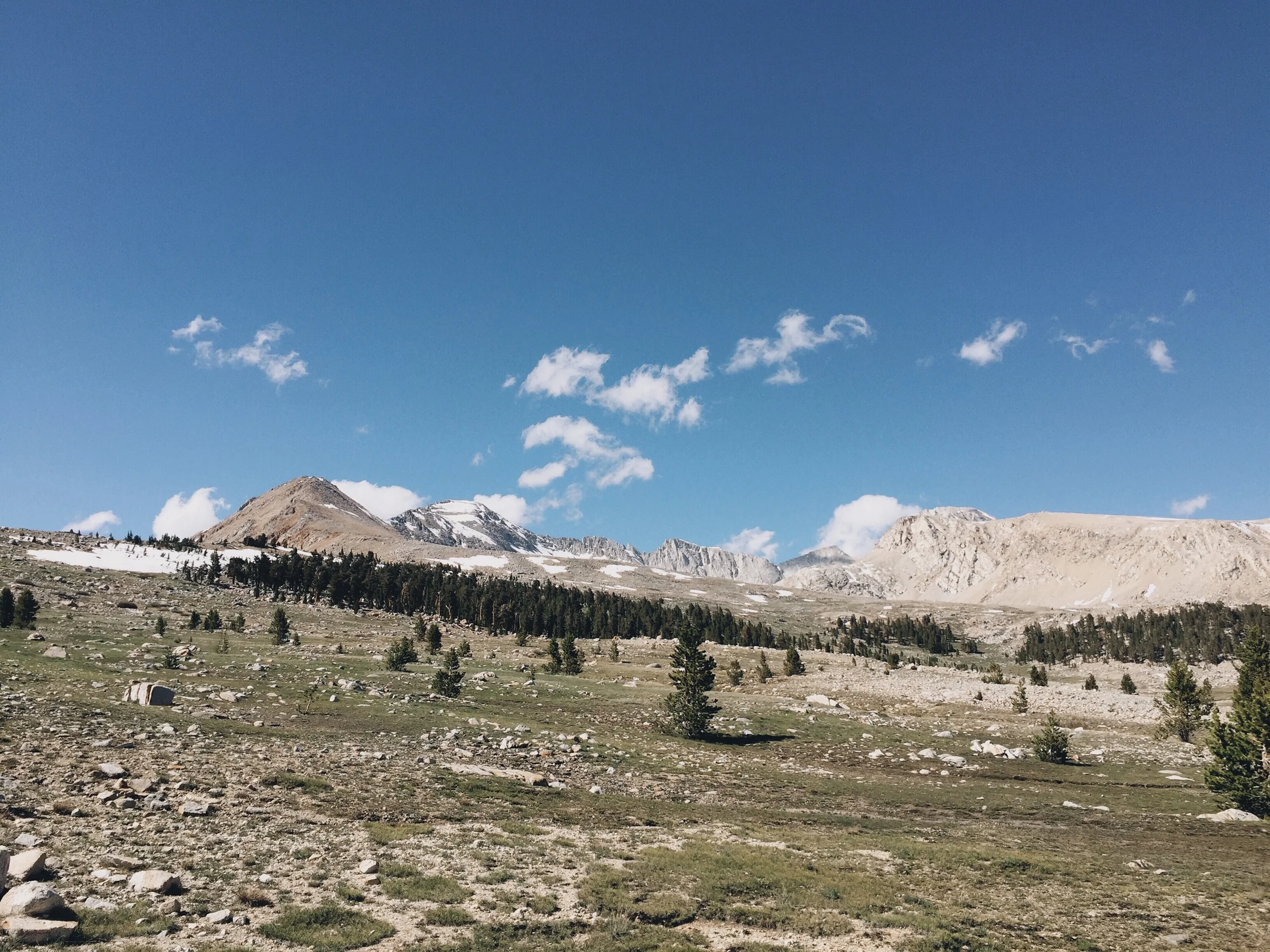 Meadow.