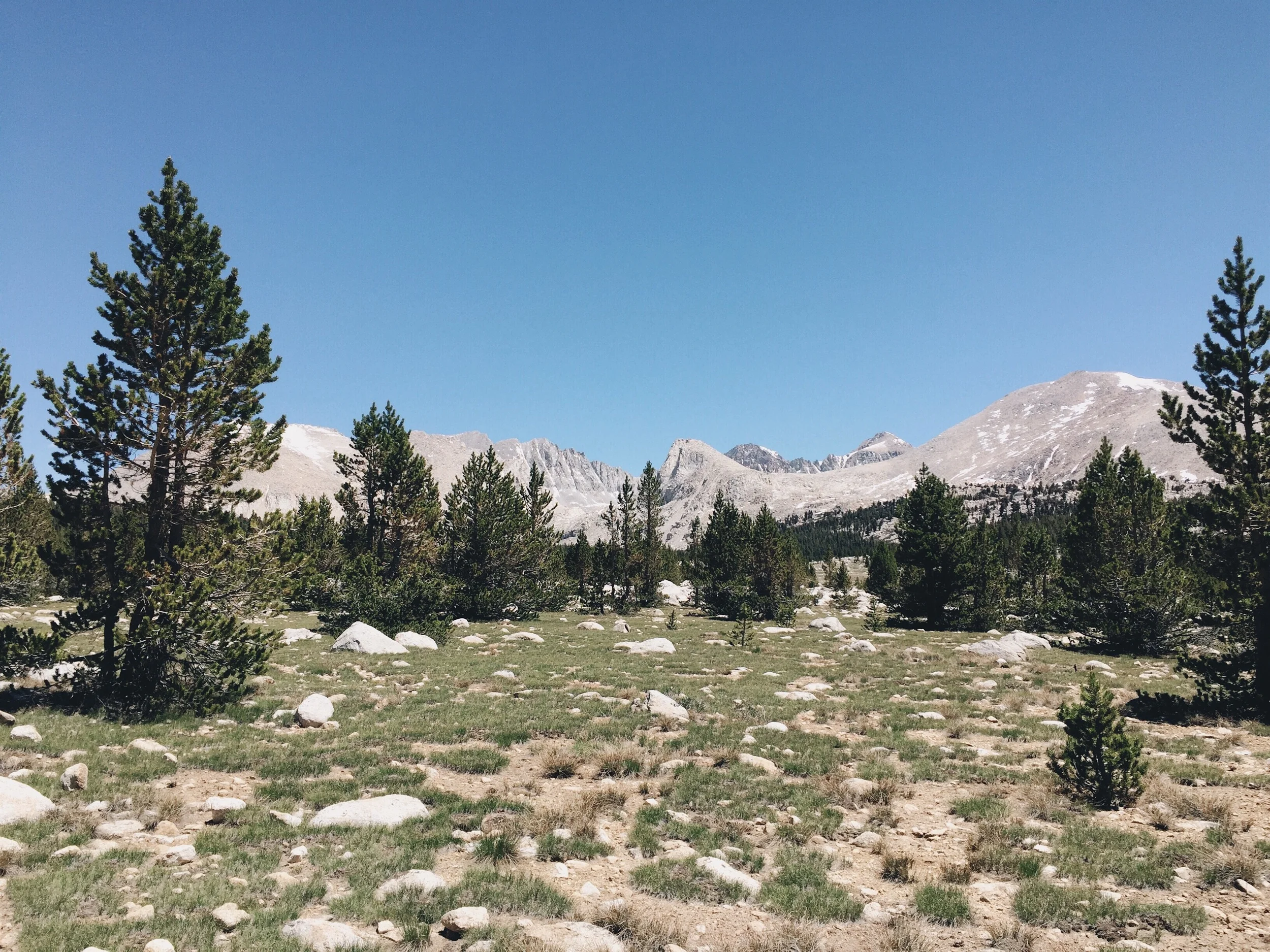 Pretty meadow views.