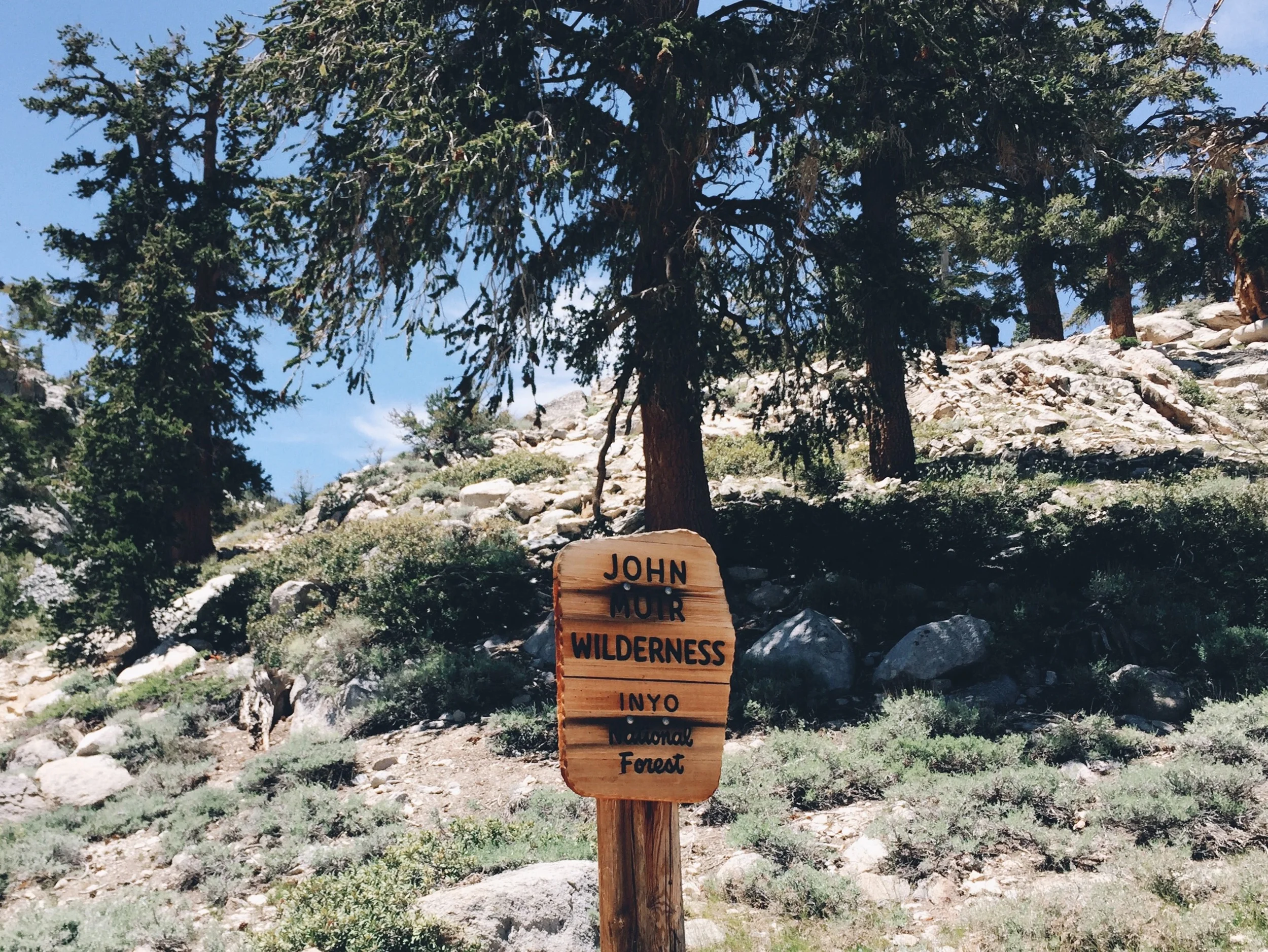 Signs. Don't take enough of them.