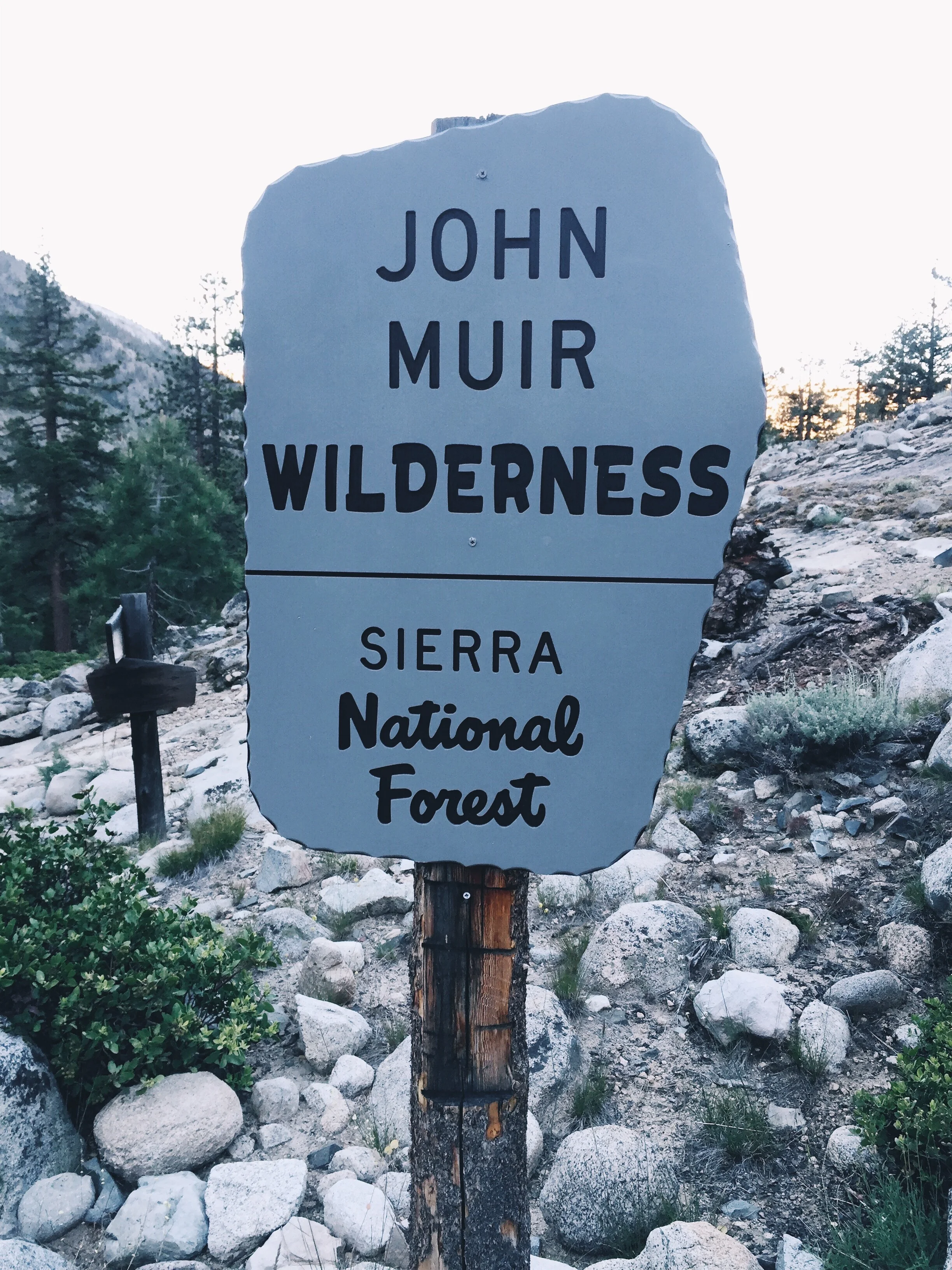That John guy's wilderness.