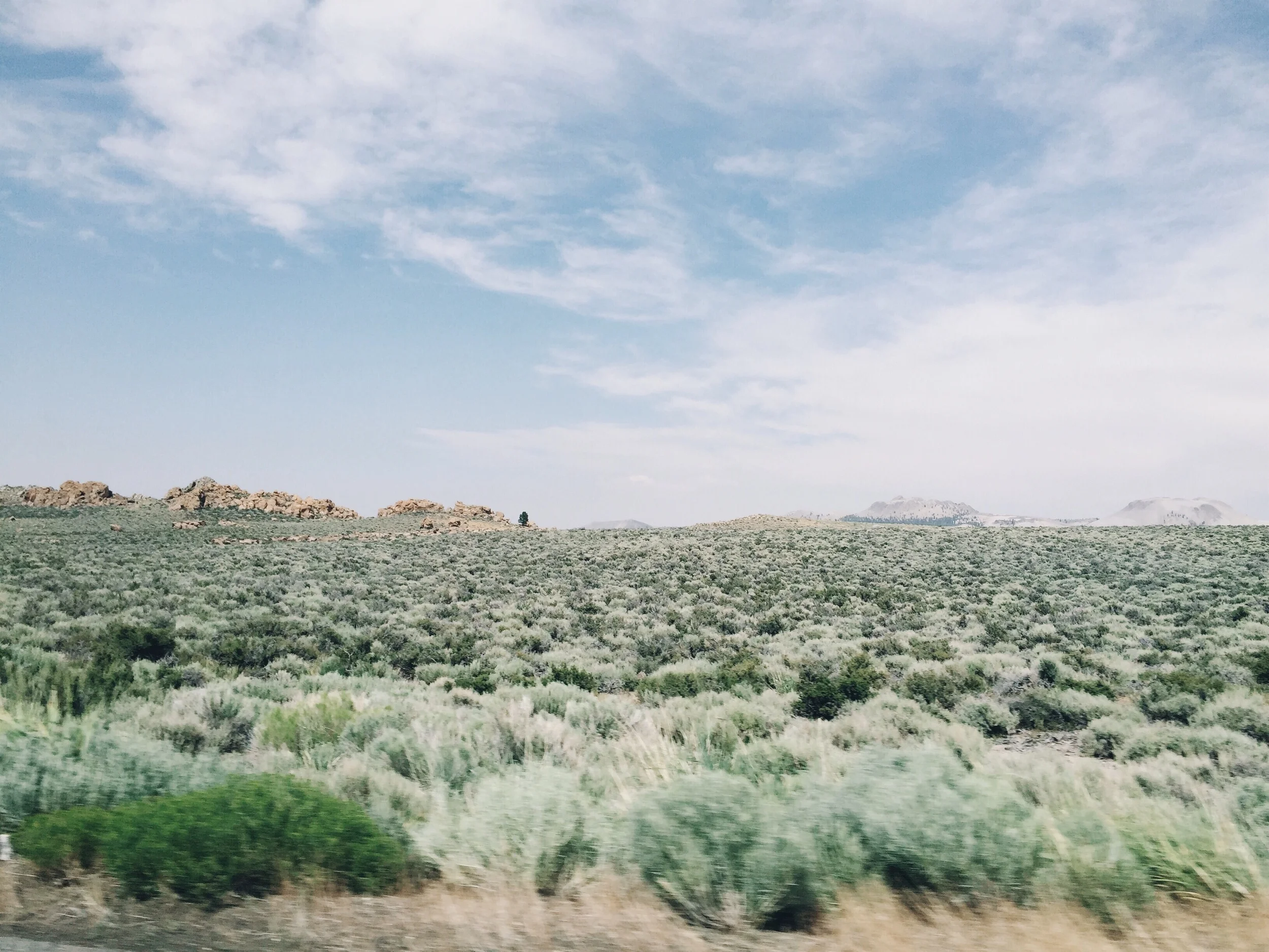 Leaving mammoth.