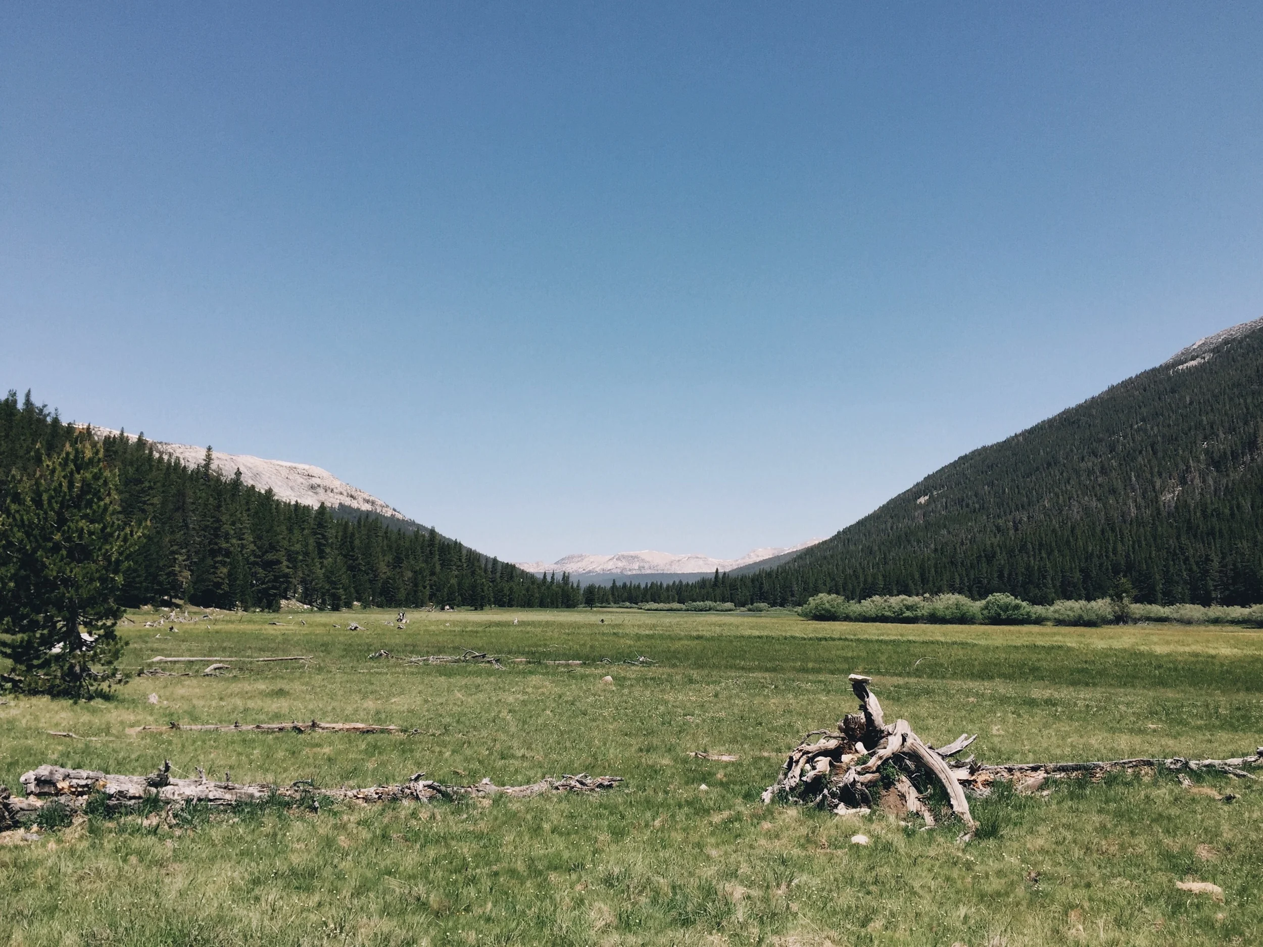 Down in the valley.