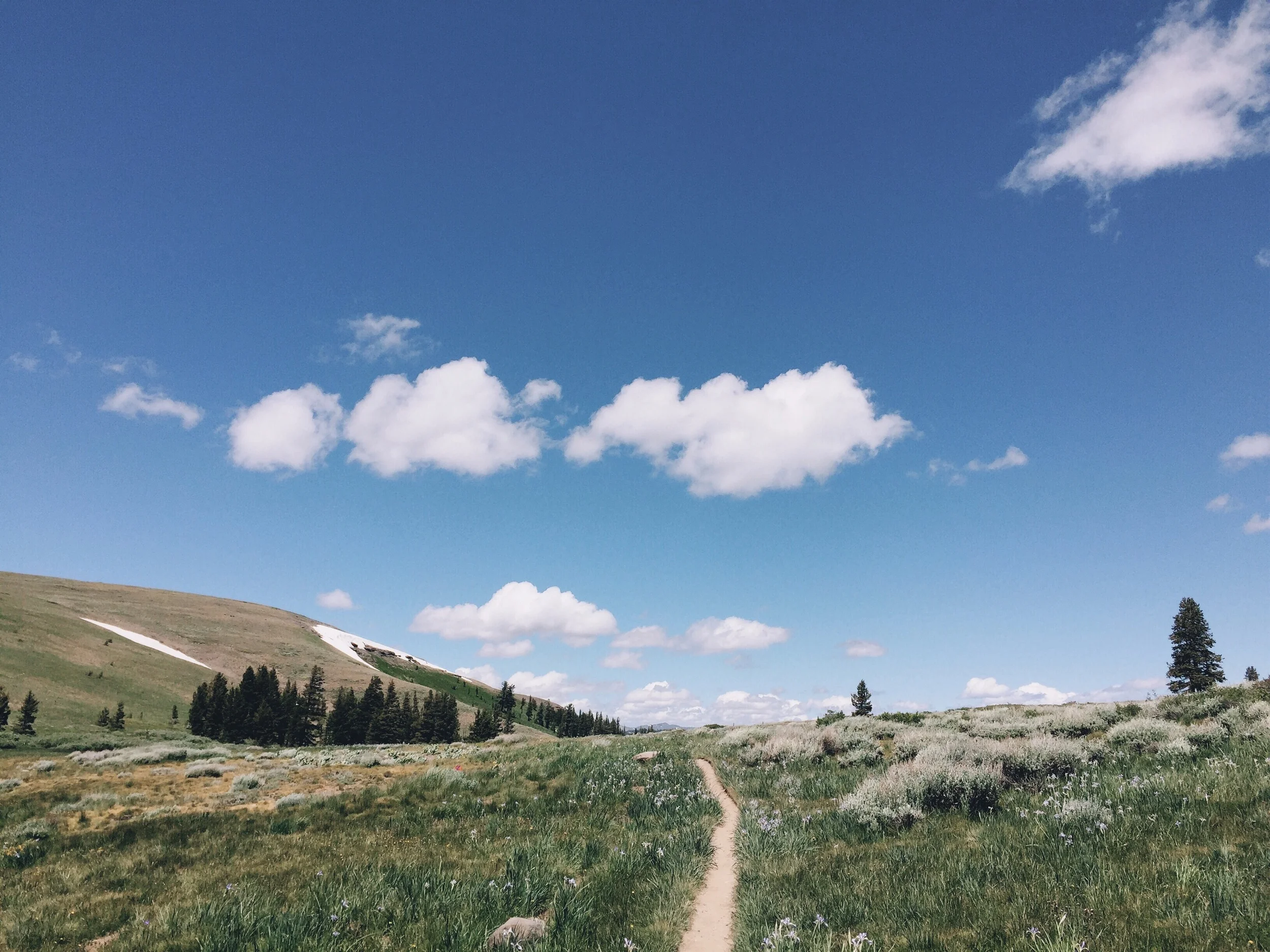 Approaching Tahoe rim trail.