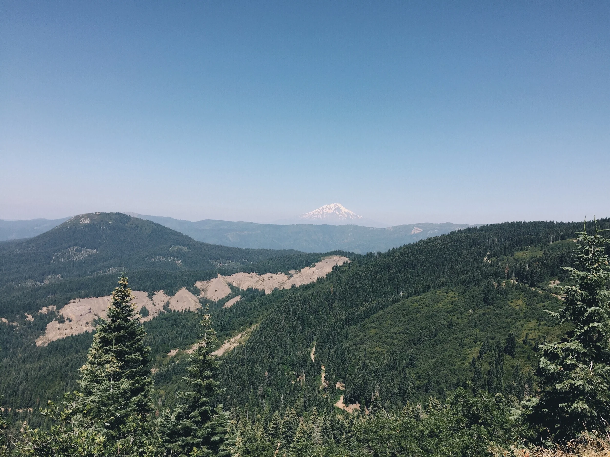 Shasta, getting closer.