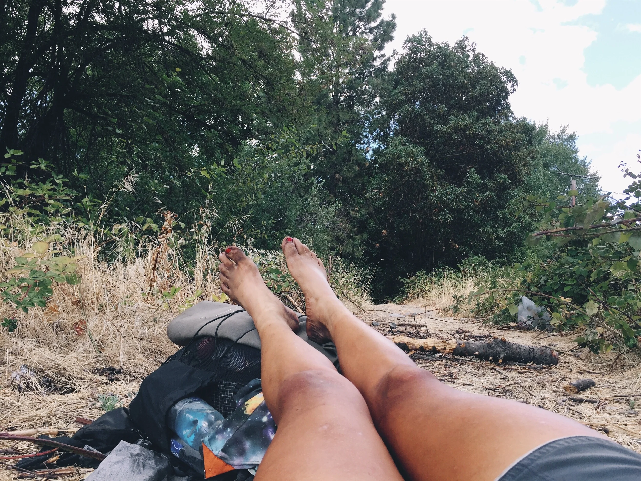 Our nap spot between the brambles.