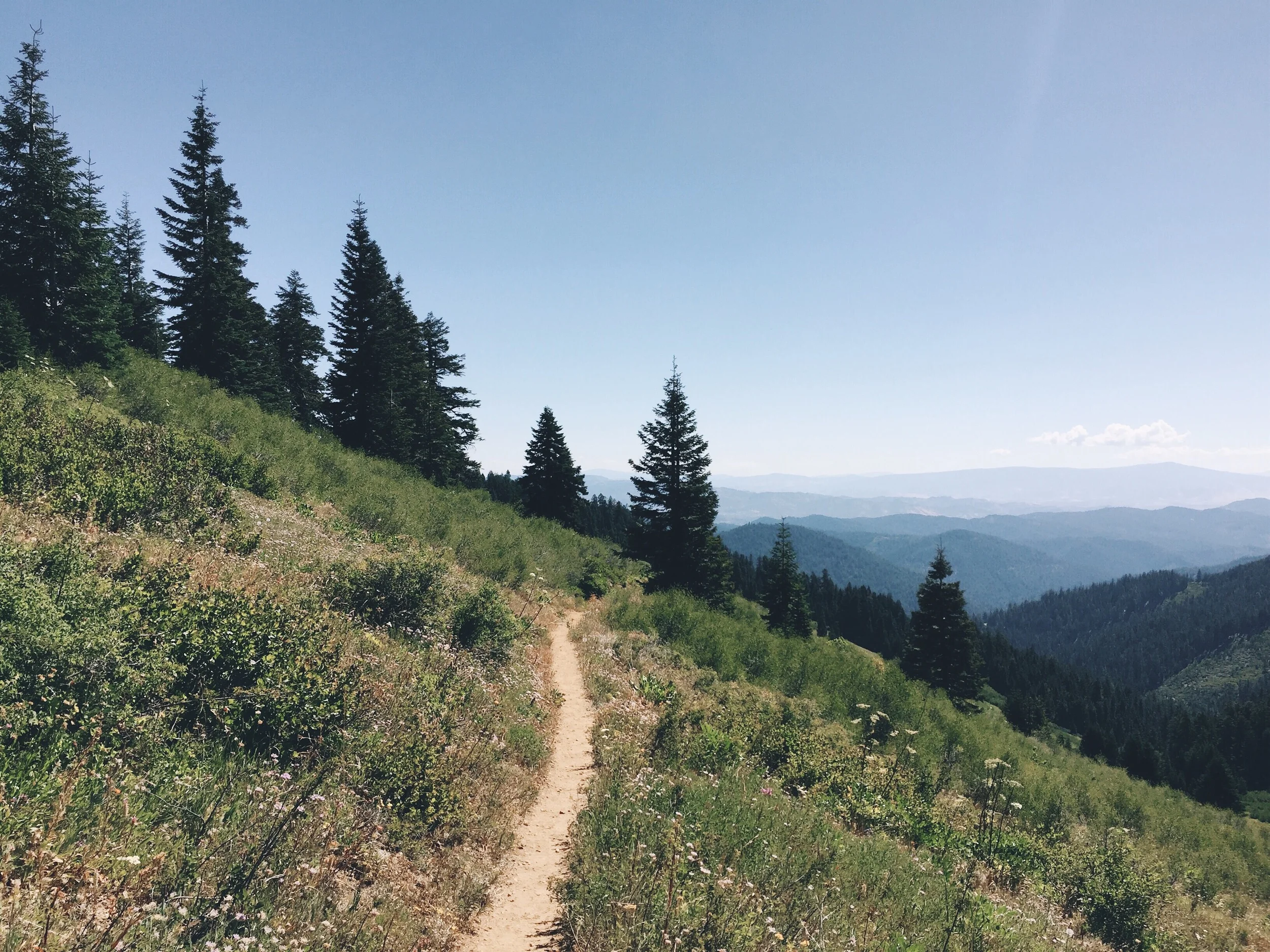 First views in Oregon.