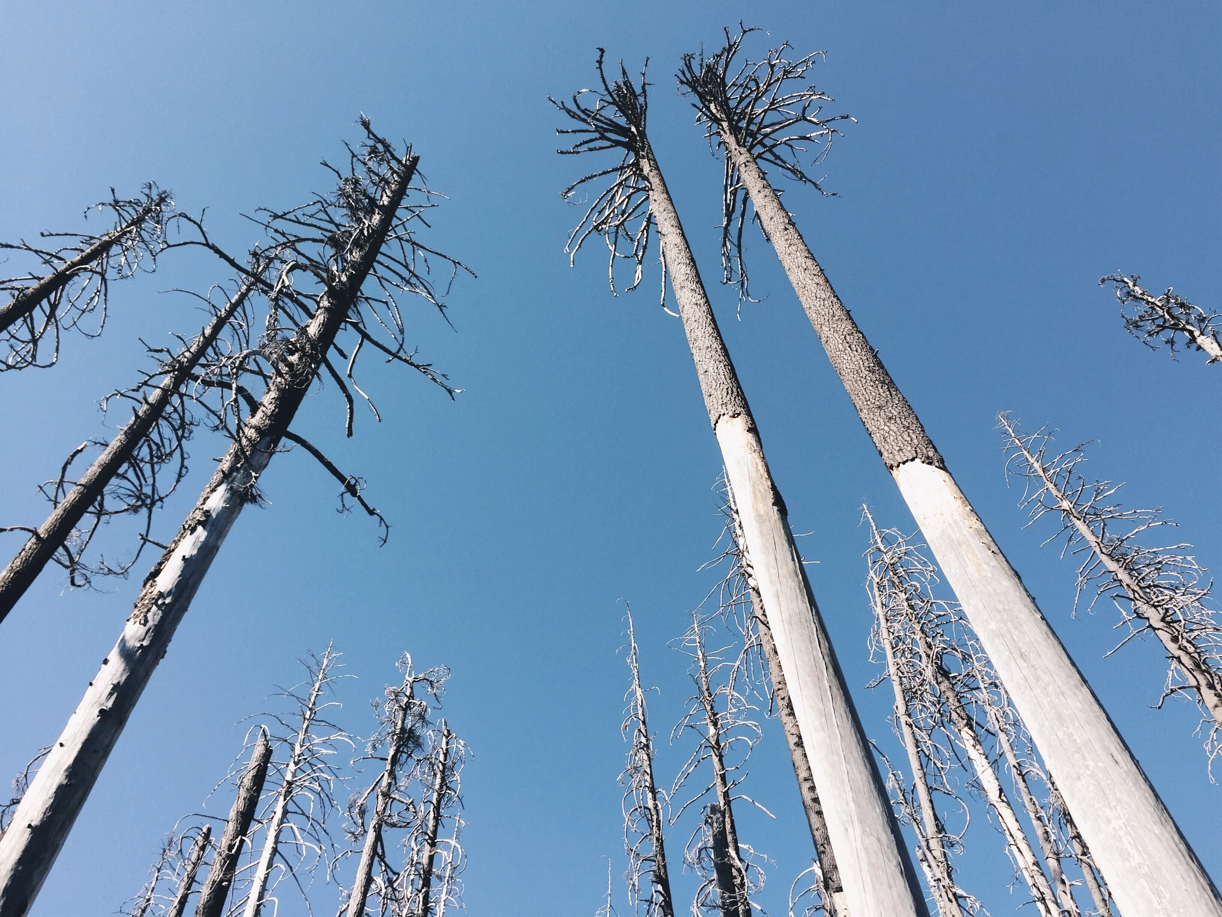 Looking up.