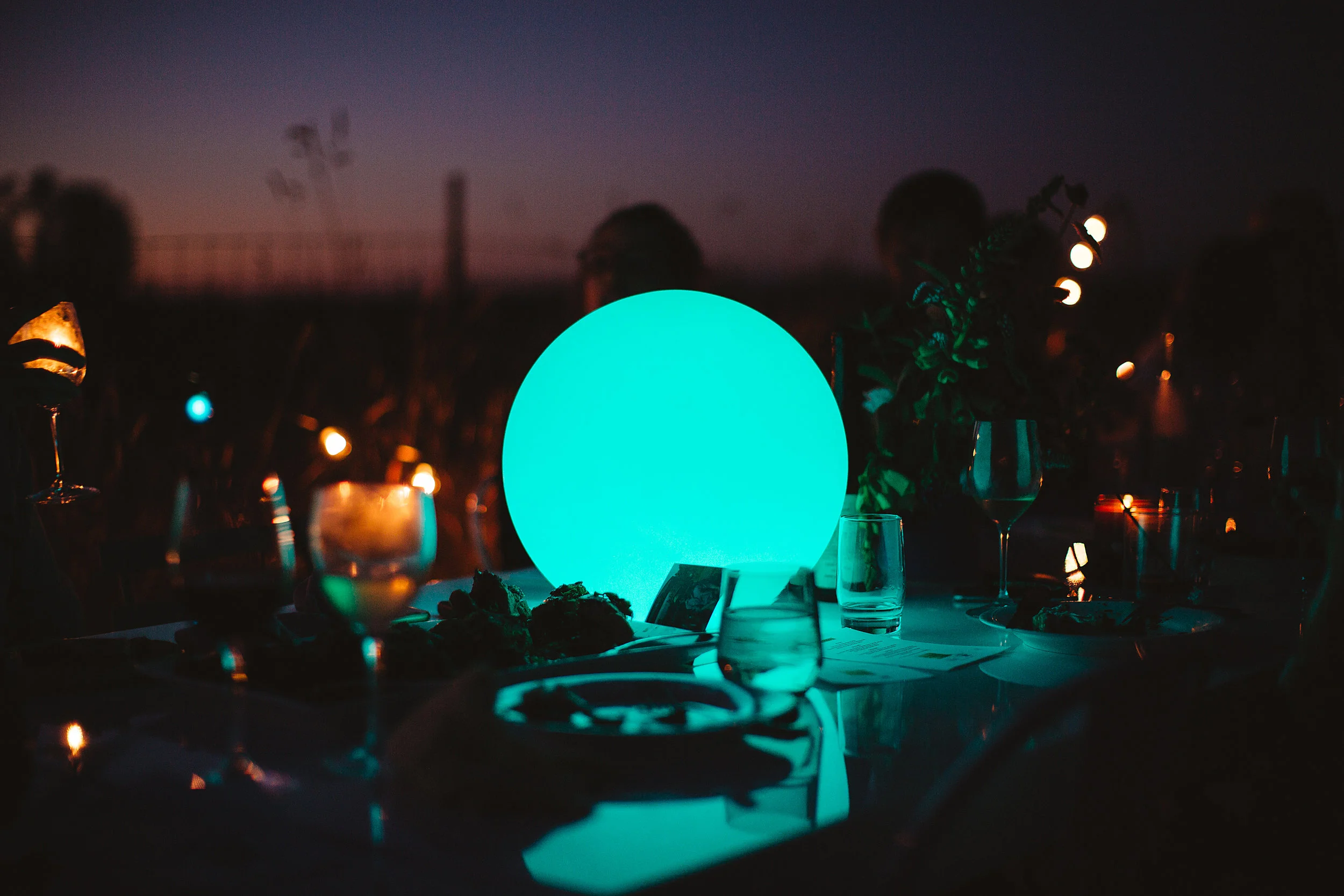 CherylJuettenPhoto-Ground-and-Green-Dinner-040.jpg