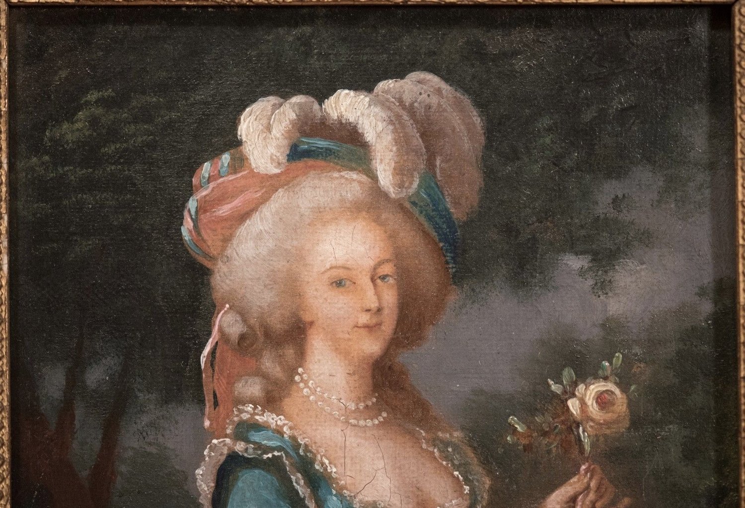6 Sizes! Queen of France Navarre Rose Portrait of Marie Antoinette New Photo