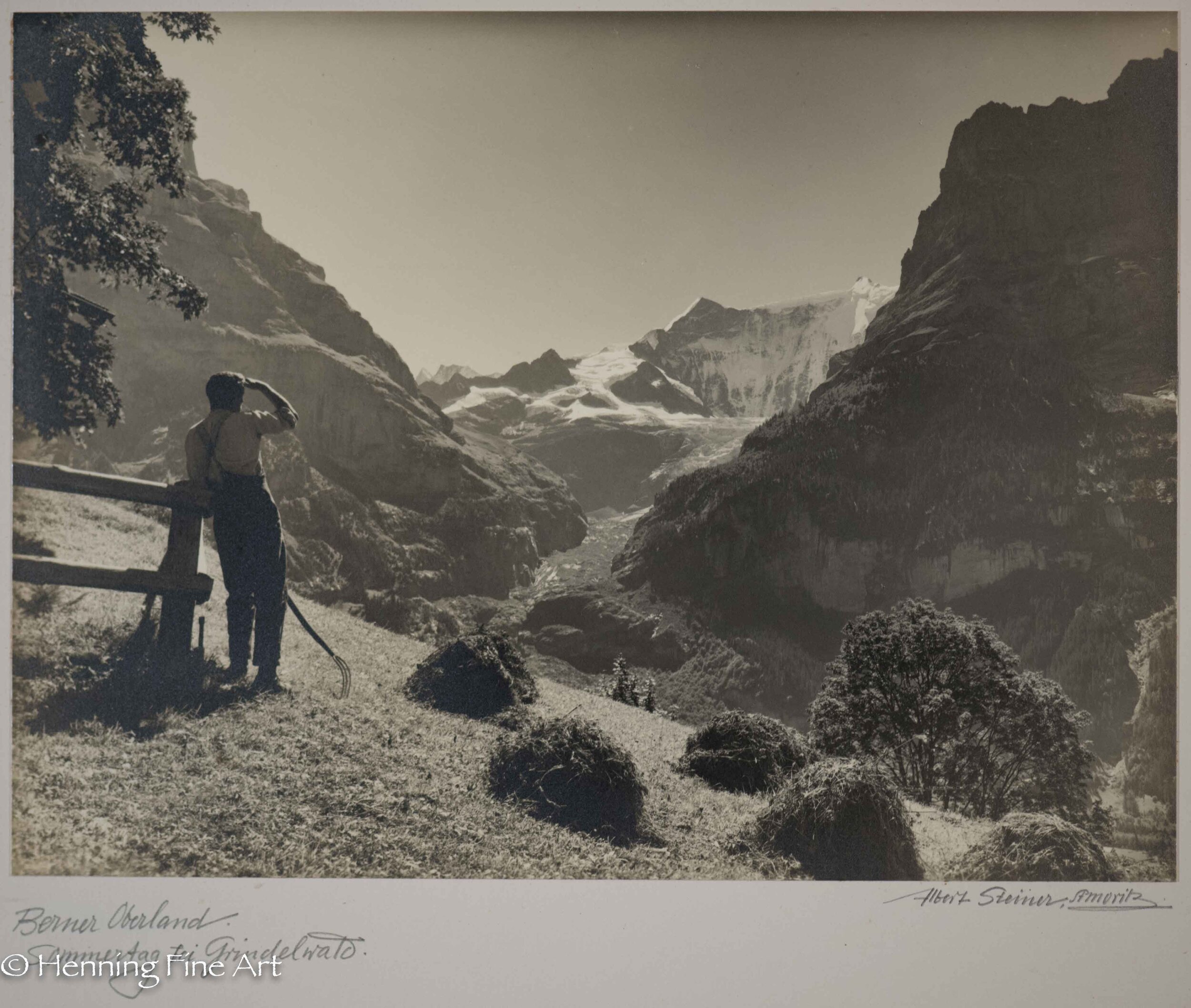 The Albert Steiner Collection — Henning Fine Art The Albert Steiner Collection — Henning Fine Art