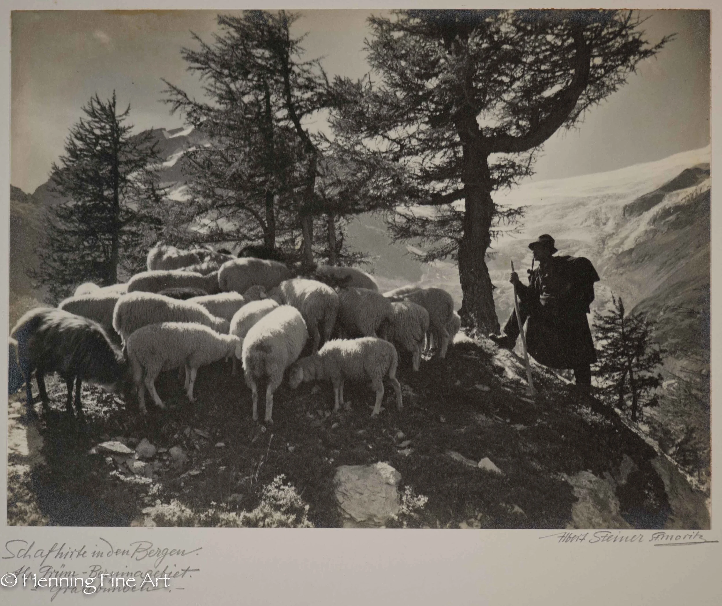 Albert Steiner (1877 - 1965) ”Schafhirte in den Bergen. Alp Grum - Berninagebiet. - Graubunden. -” Image (1-6)