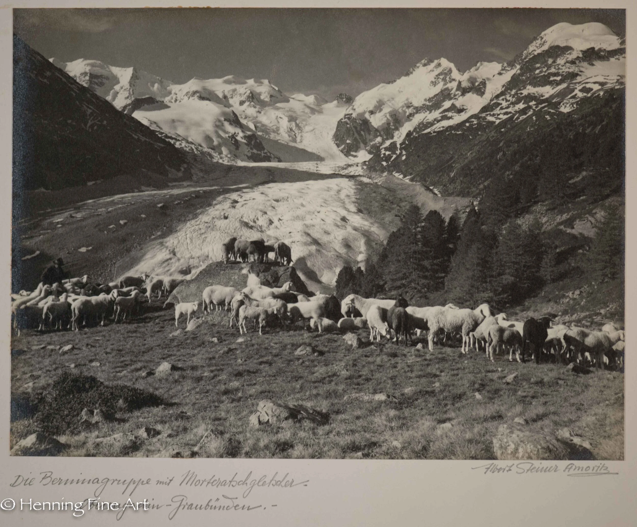 Albert Steiner (1877 - 1965) ”Schafhirte im Berninagebiet. - Oberengadin -.” Image (1-9)