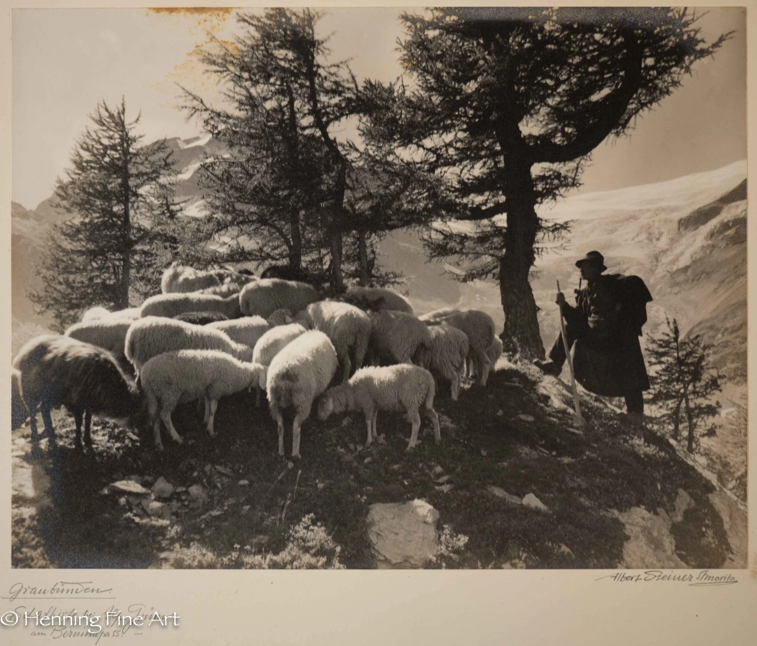 Albert Steiner (1877 - 1965) ”Graubunden. Schafhirte bei Alp Grum am Berninapass.-” Image (6-2)