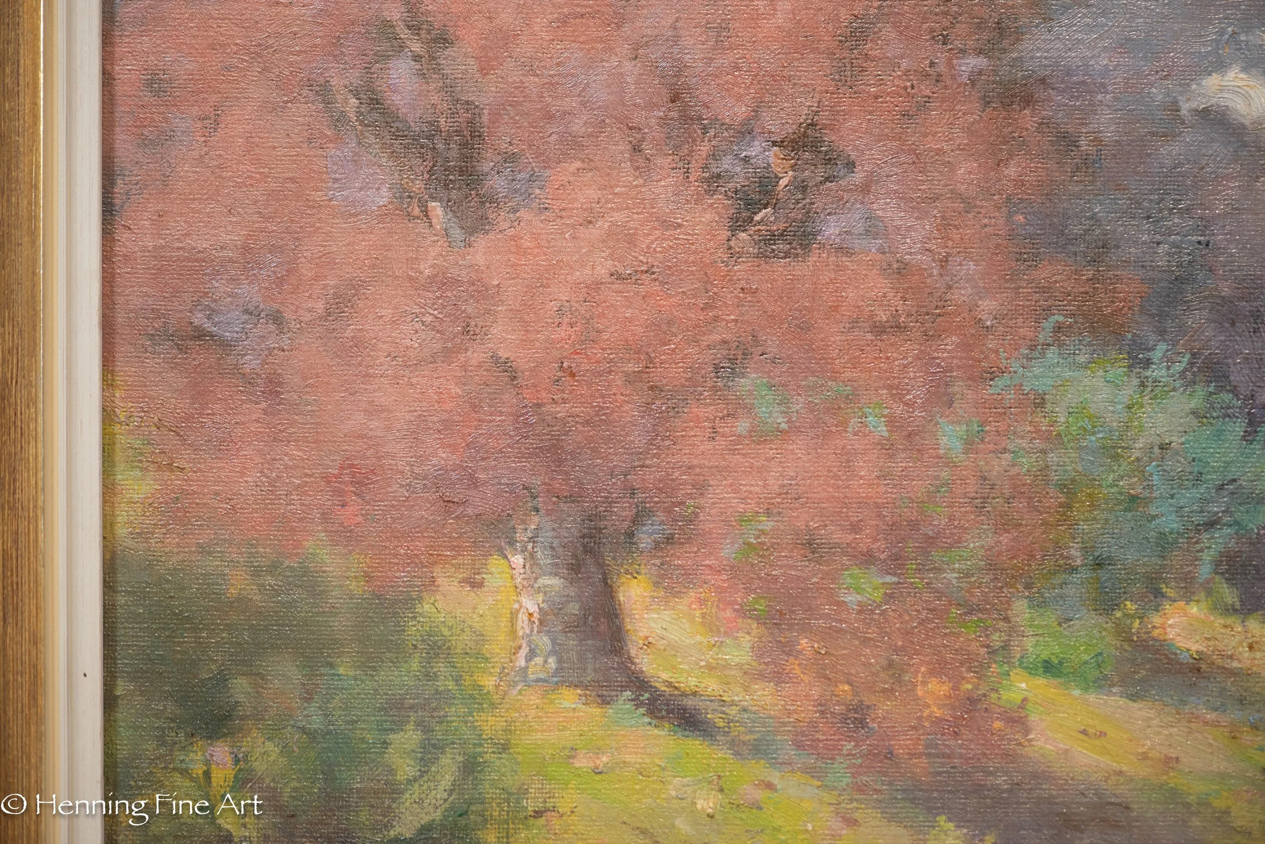 DSC_7565.jpg