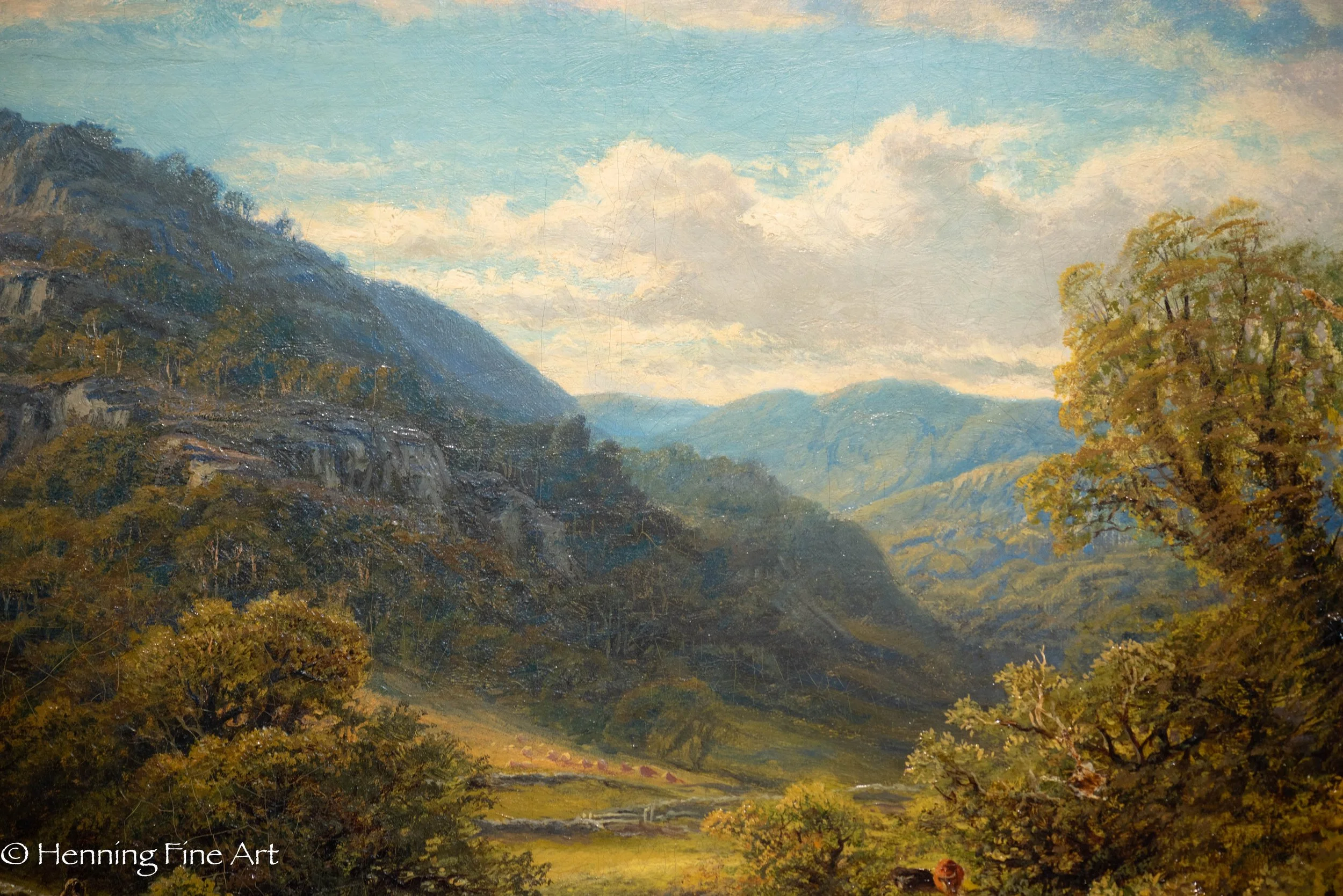DSC_7123.jpg