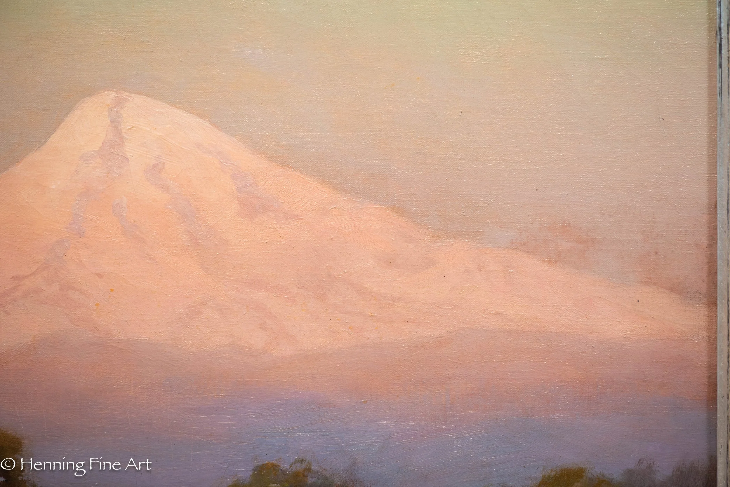 DSC_7544.jpg