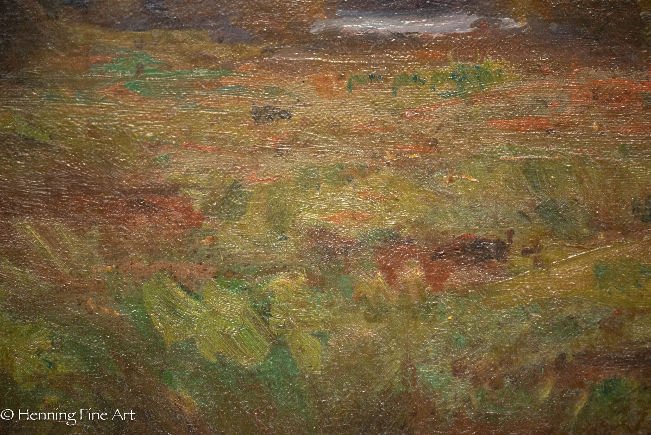 DSC_7550.jpg