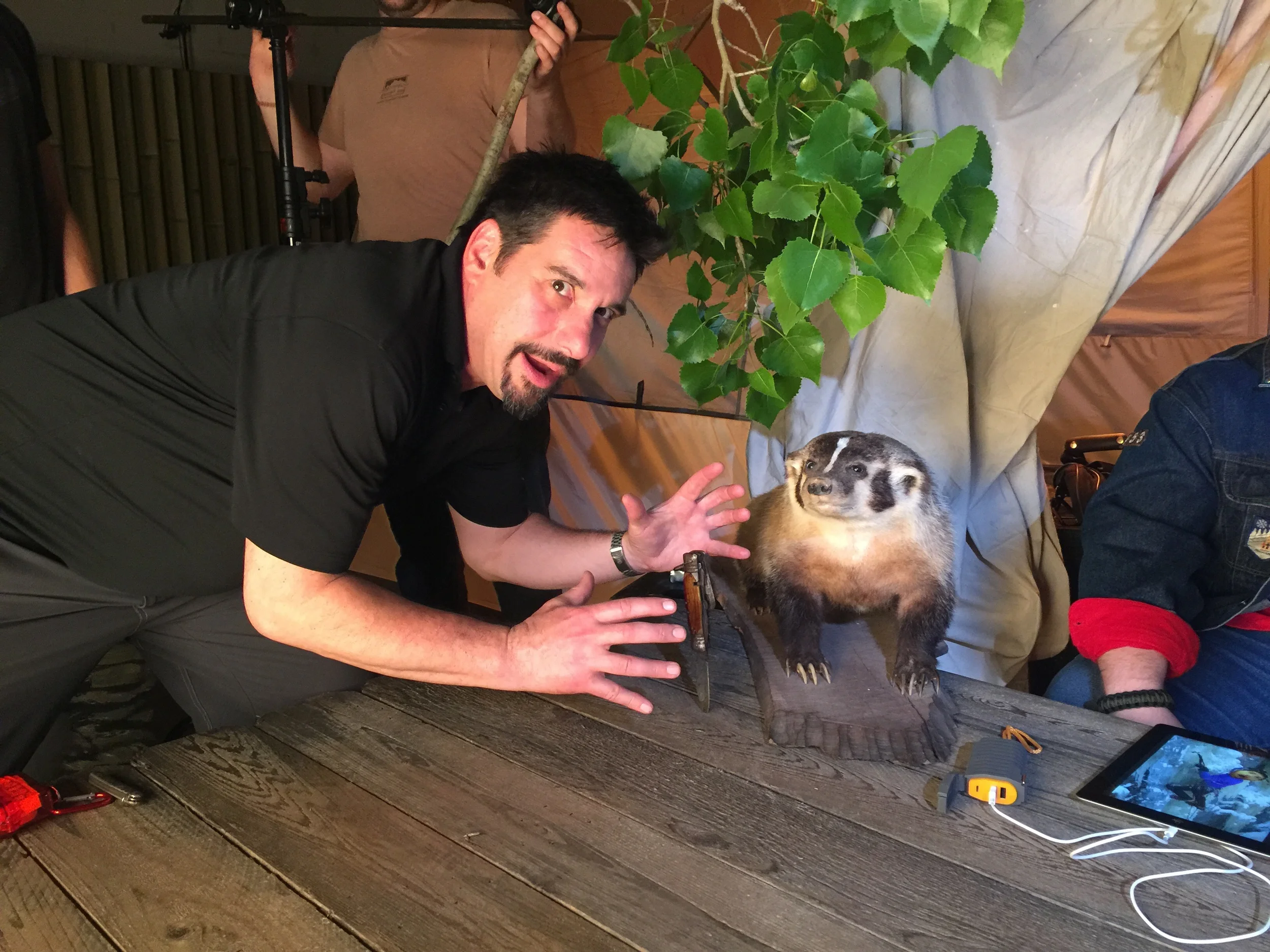 Brad and the badger...