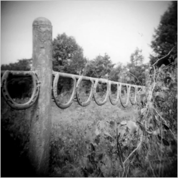bw007.jpg