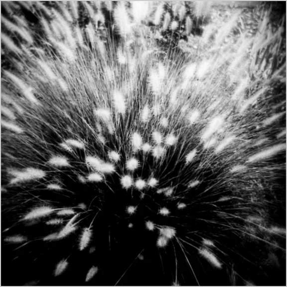 bw008.jpg