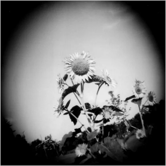 bw010.jpg