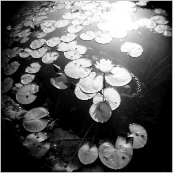 bw016.jpg