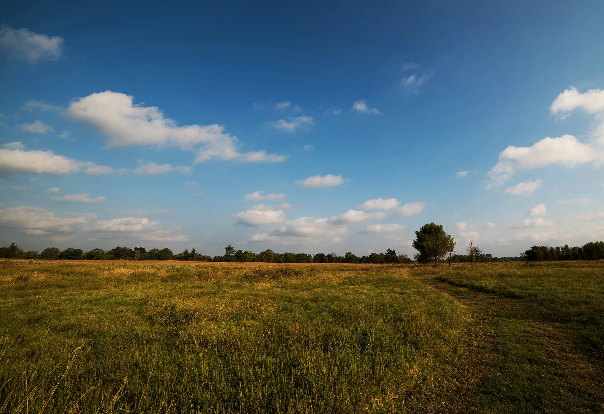 arkansasphotographerjasonhudson09.JPG