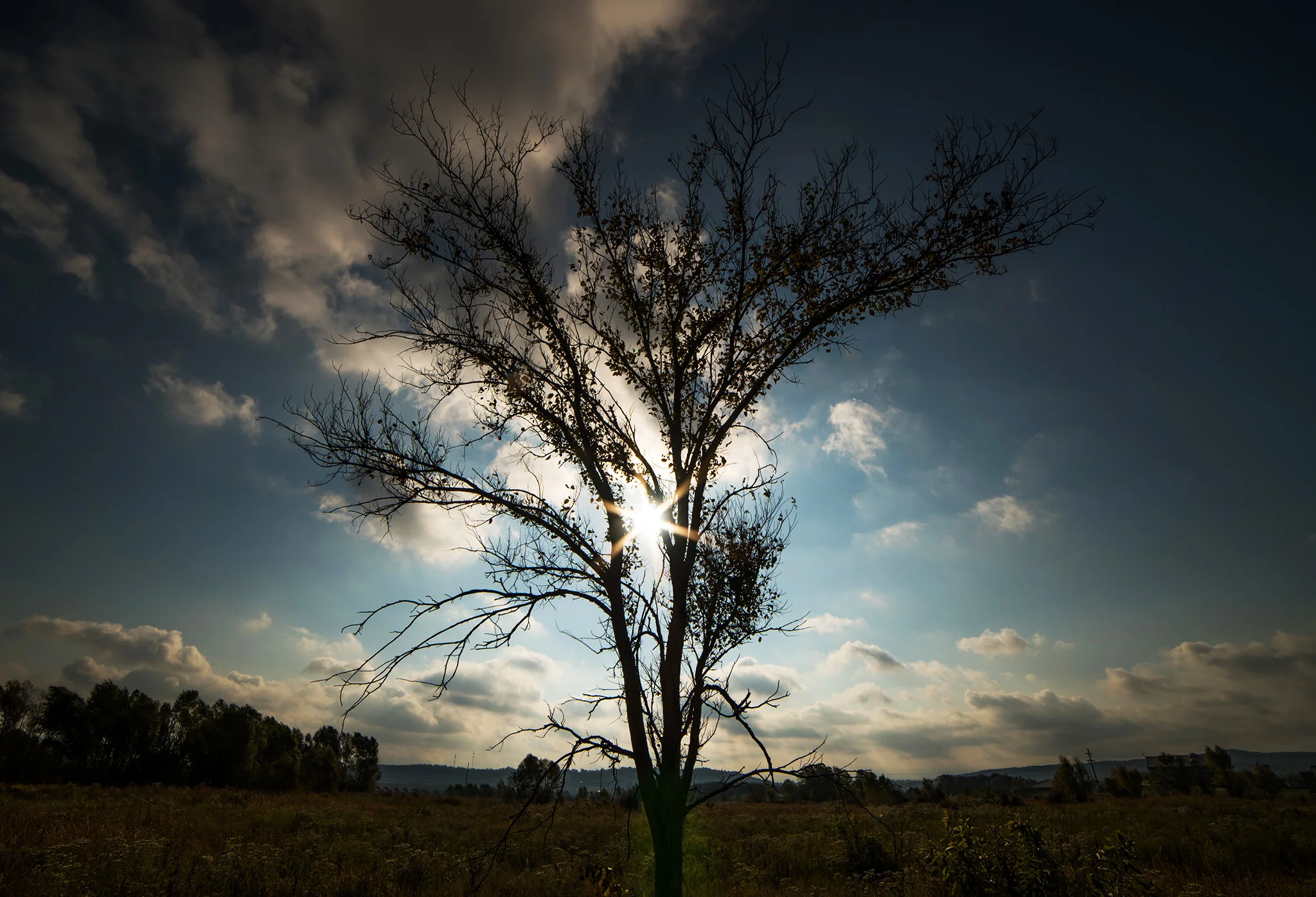 arkansasphotographerjasonhudson26.JPG