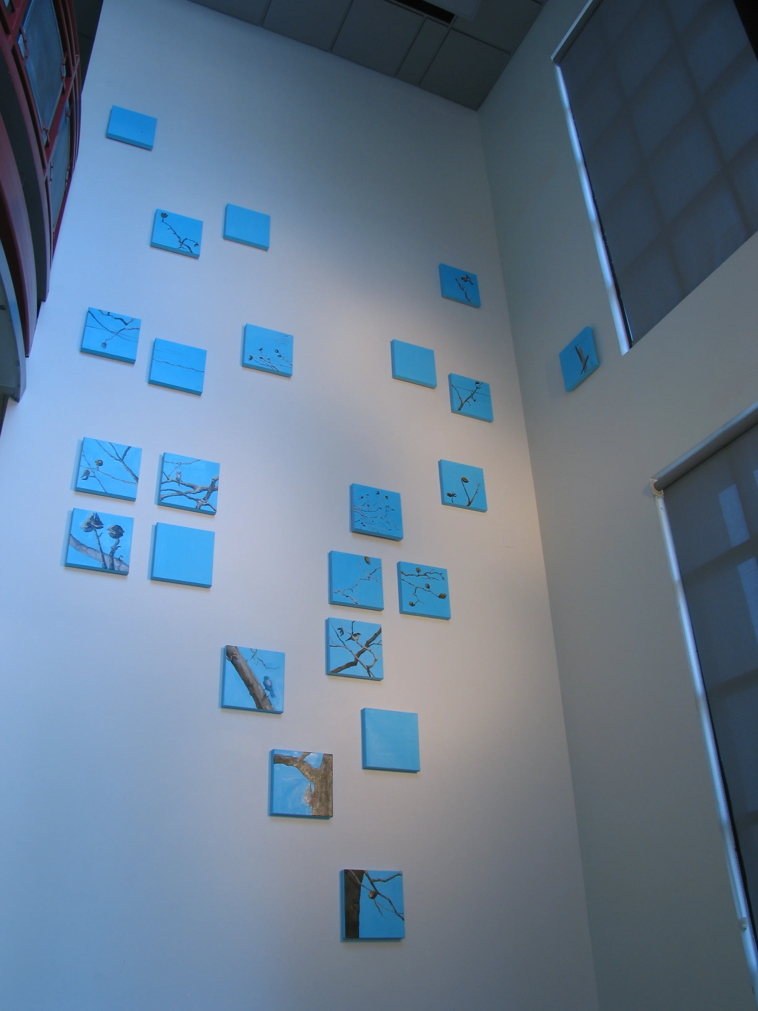 Birds, instalation.JPG