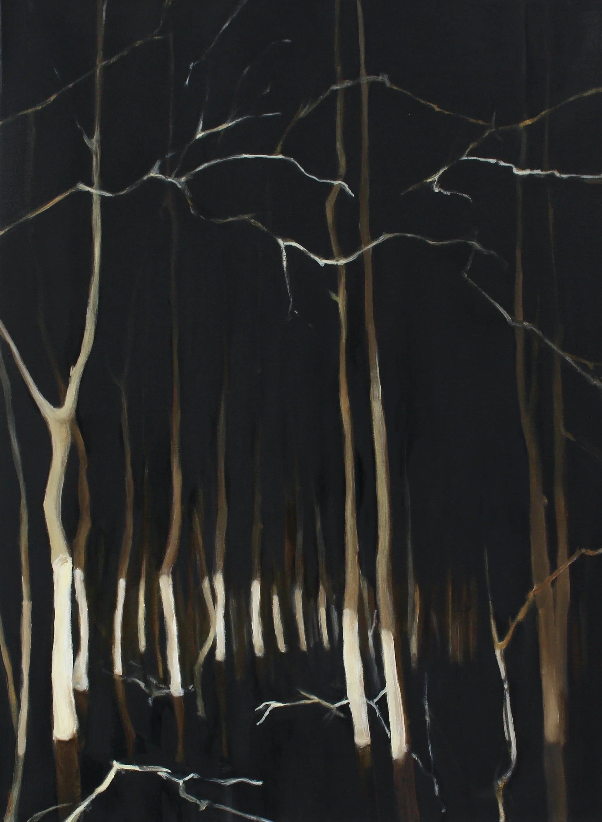 Head Lights in the Woods, 2024