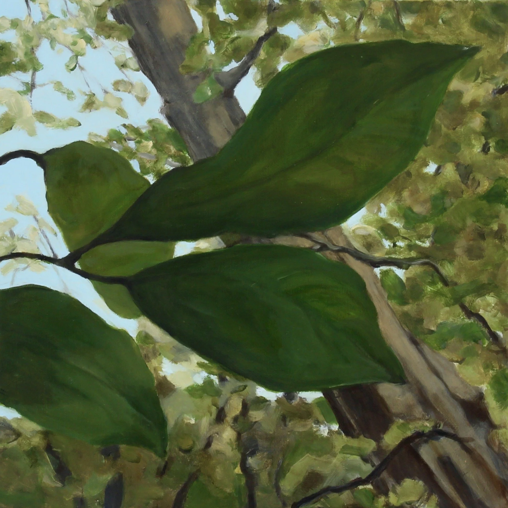 Leaves, 2024