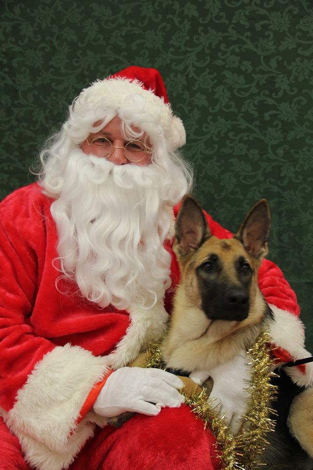 german shepherd puppies east texas2.jpg