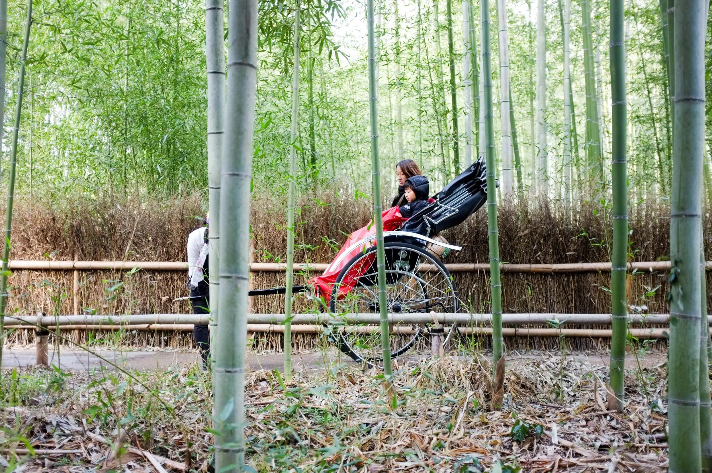 20180103_Kyoto2018-109.jpg