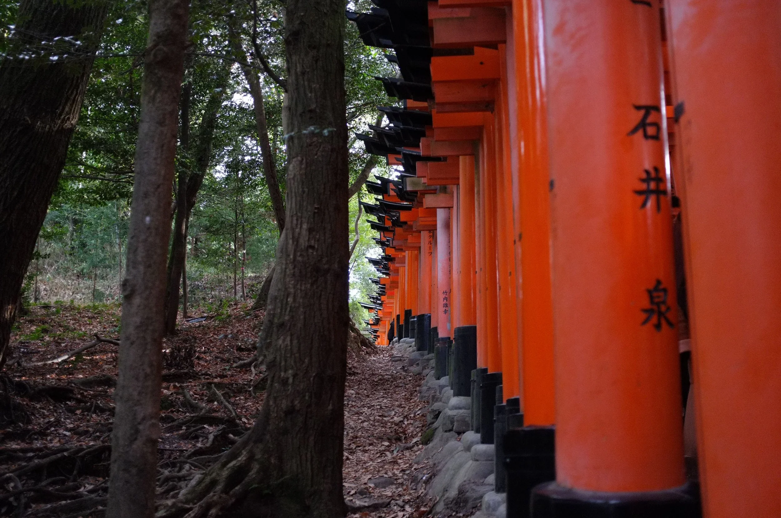 20180103_Kyoto2018-143.jpg