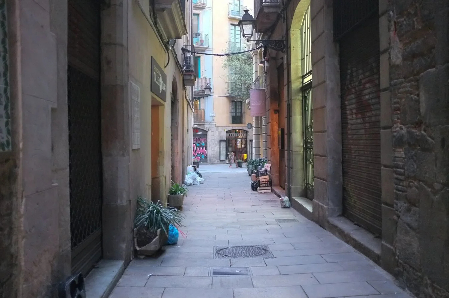 237-2048-(DSCF7313).jpg