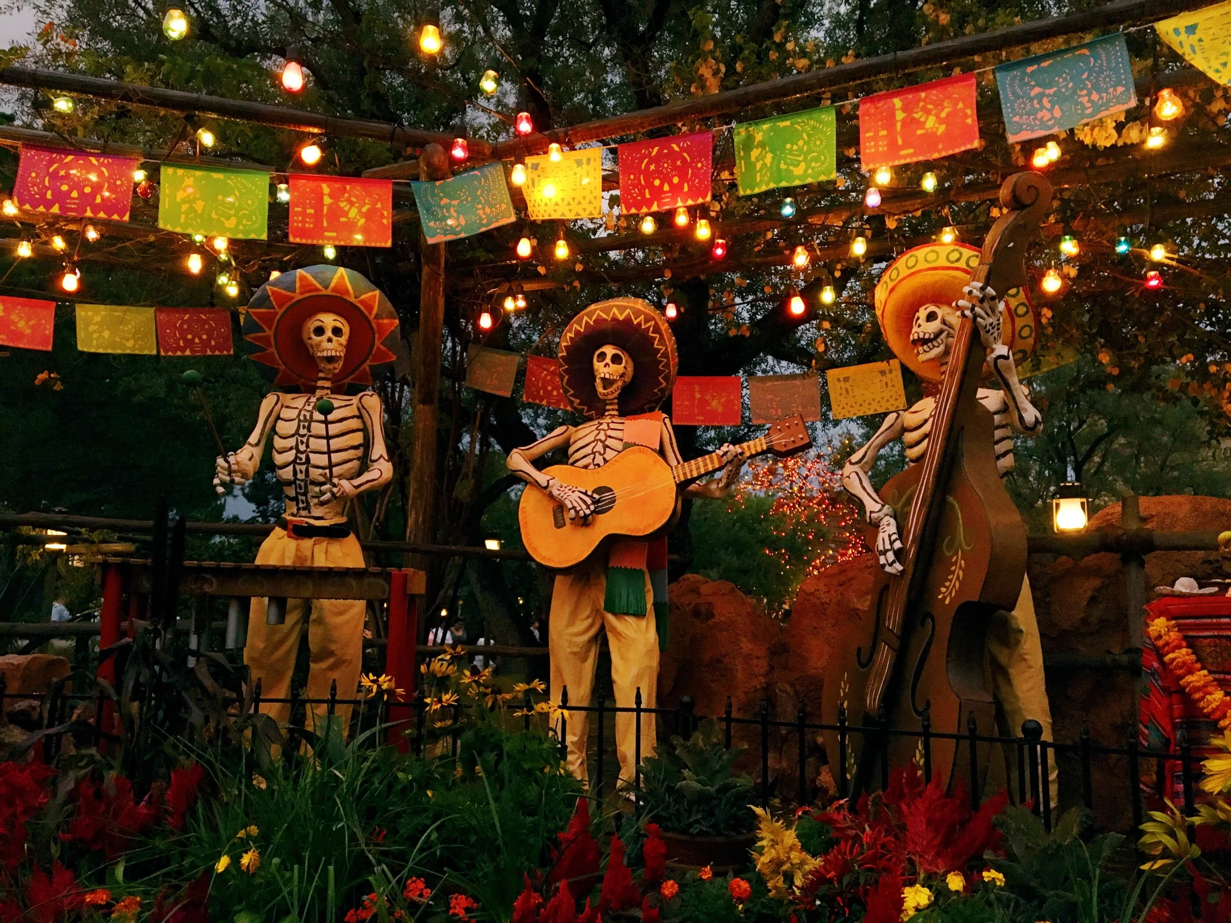 A Woman Without a Country | On Multi-Ethnicity