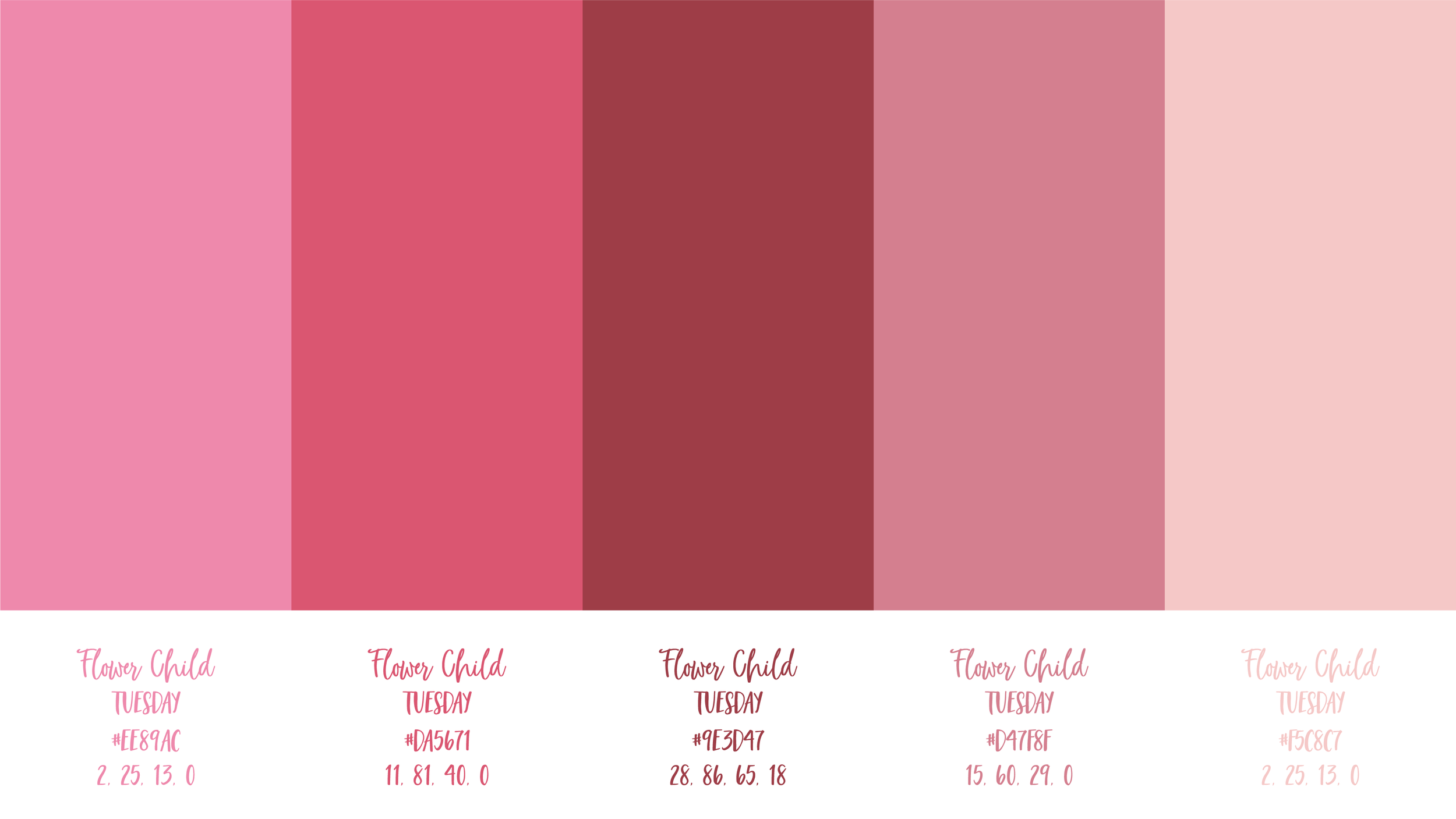 Color Palette_Pink Palette.png