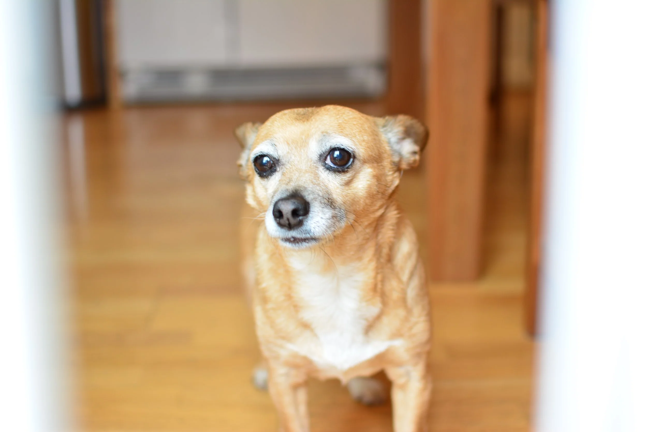 Still Holding Up Hope