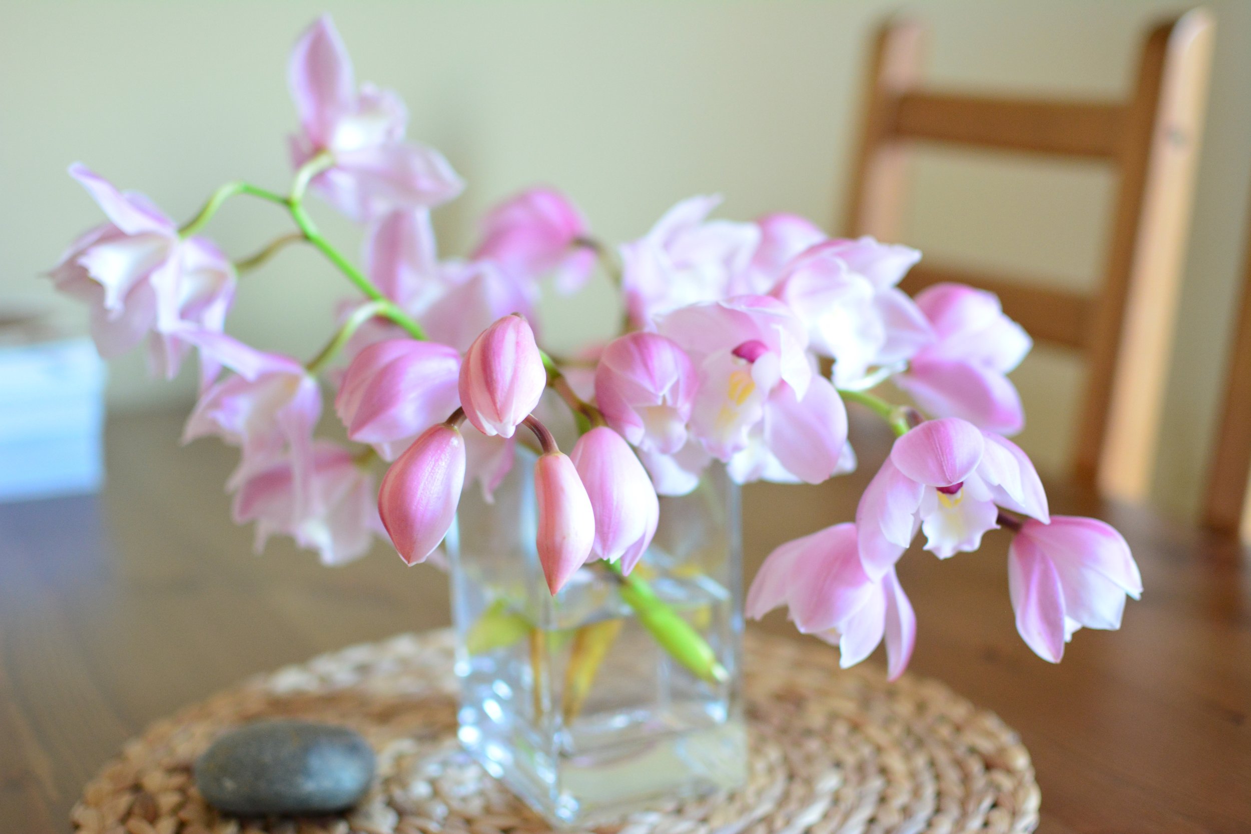 A Picture... A Moment