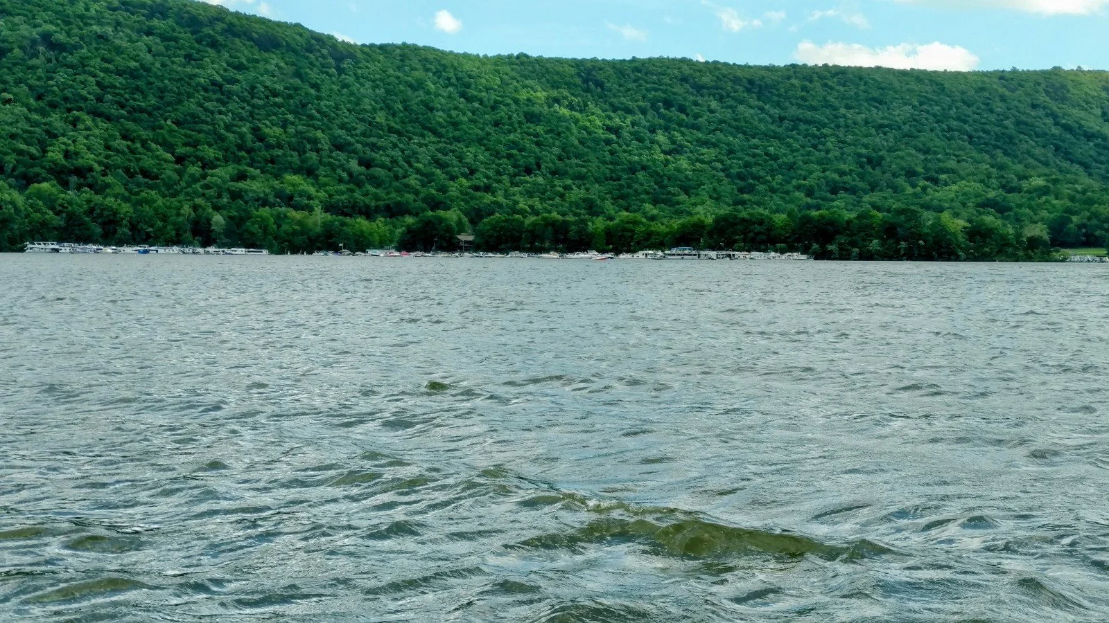 Port Side Rentals LLC