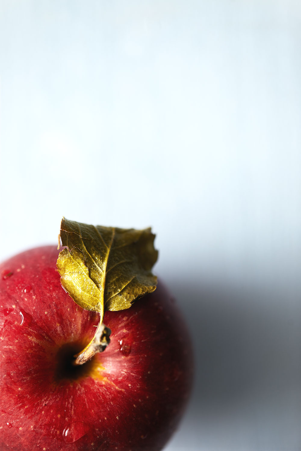 Apple Pie Ice Cream with Cinnamon Oat Crumble // Natural Girl Modern World // Vegan & Gluten Free