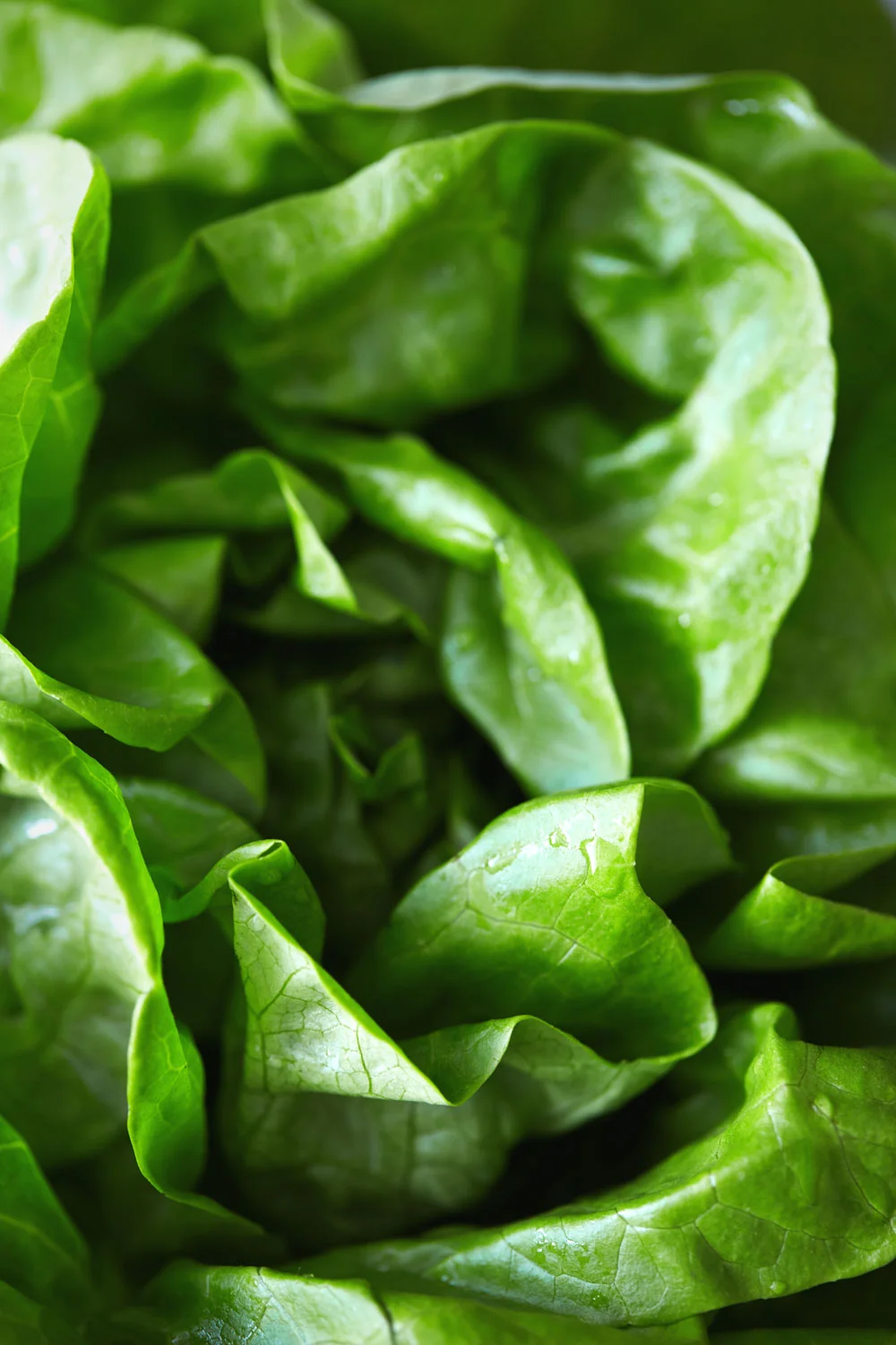 Asian Mushroom Lettuce Wraps // Natural Girl Modern World // Vegan & Gluten Free