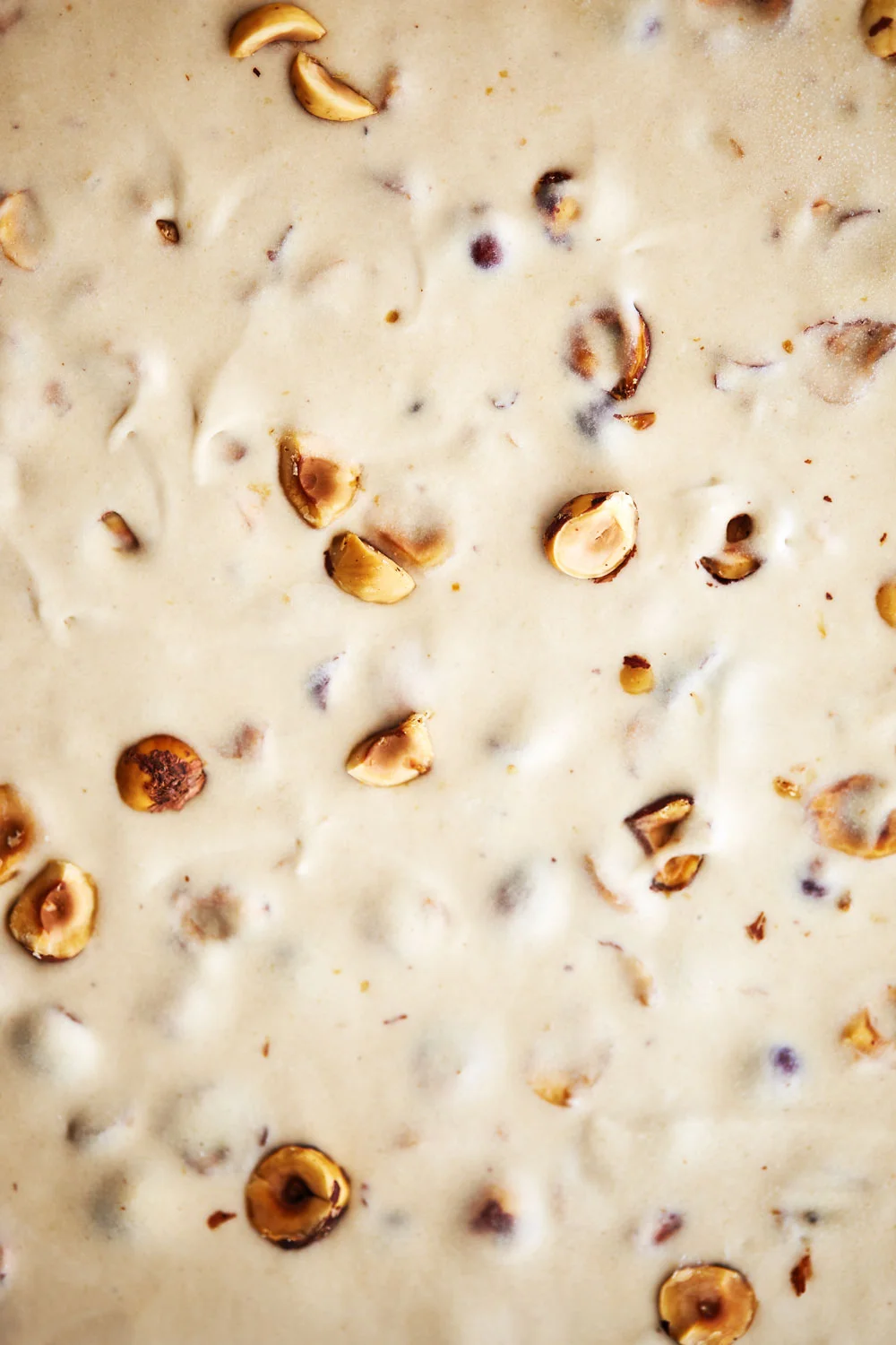 Whiskey Hazelnut No Churn Ice Cream // Natural Girl Modern World // Vegan & Gluten Free