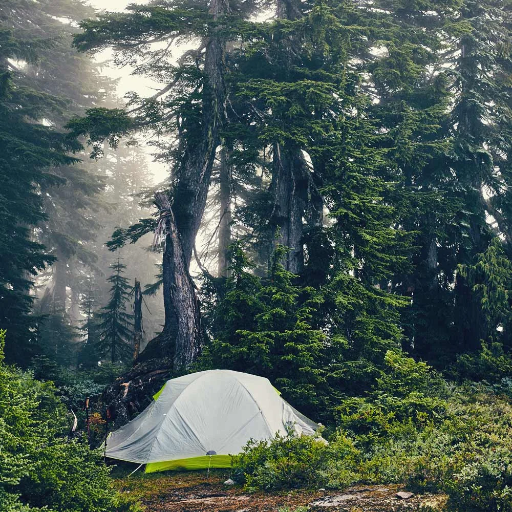 Tent in Forest, Vancouver, British Columbia | Photo property of Evergreen Kitchen