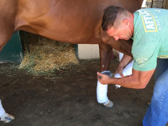 Dr. Don Moore, who began working with California Chrome 18 months ago, checks the horse's right leg. (Photo courtesy of Don Moore)