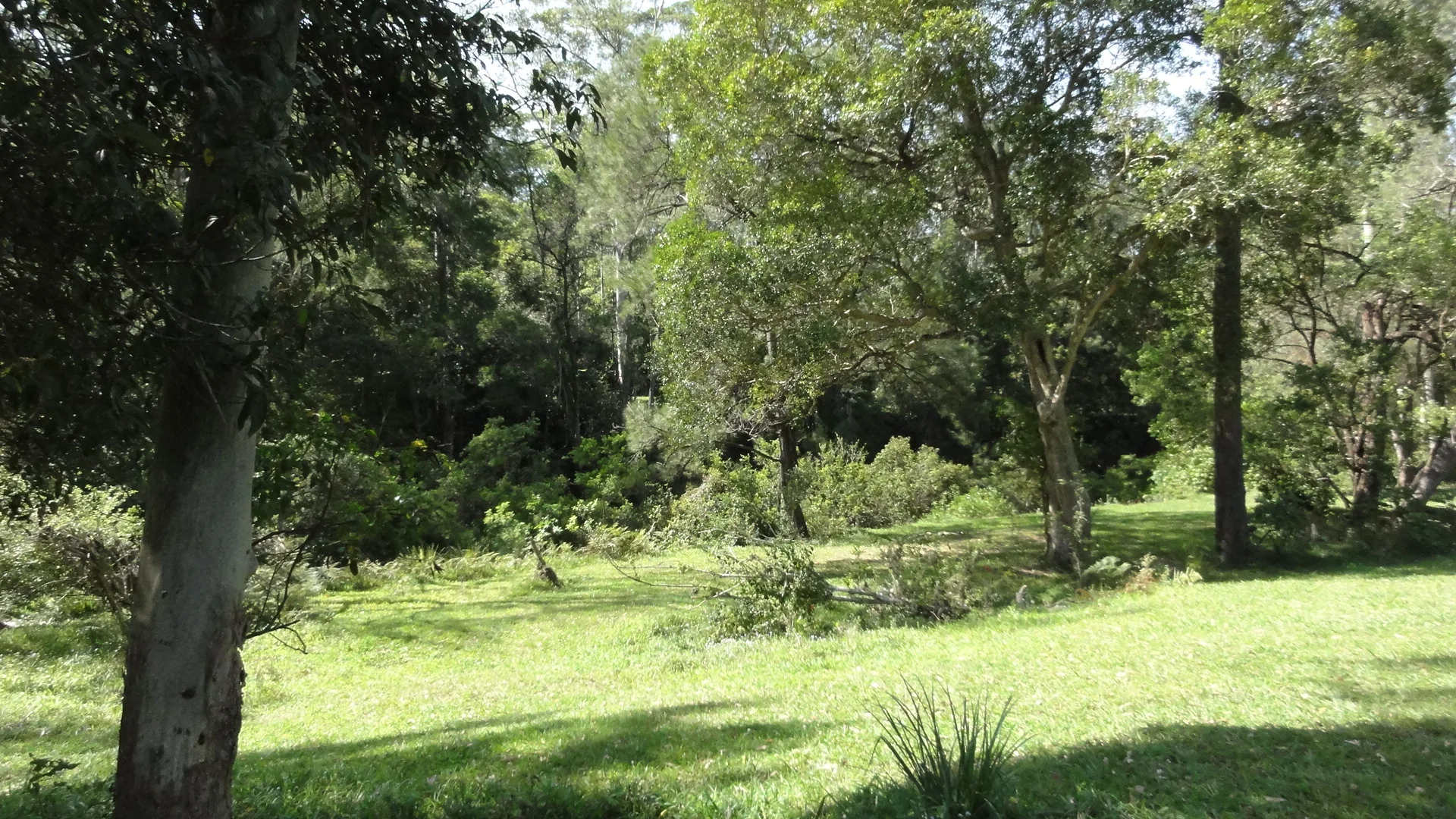 Cruiser and campsited 035.JPG